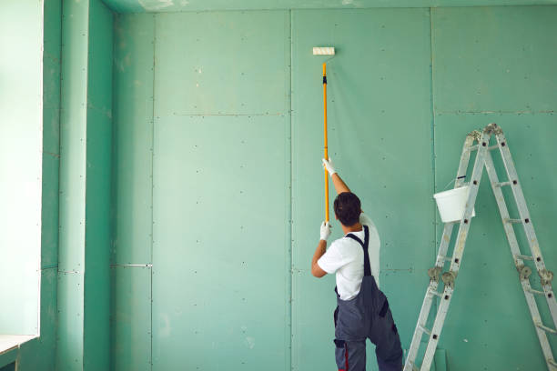 Best Commercial Mold Inspection  in Pinedale, WY