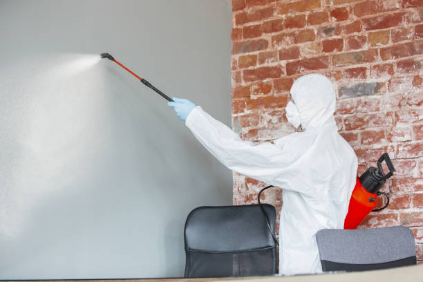 Best Biohazard Mold Removal  in Pinedale, WY