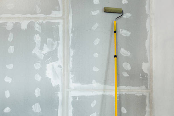  Pinedale, WY Mold Removal Pros