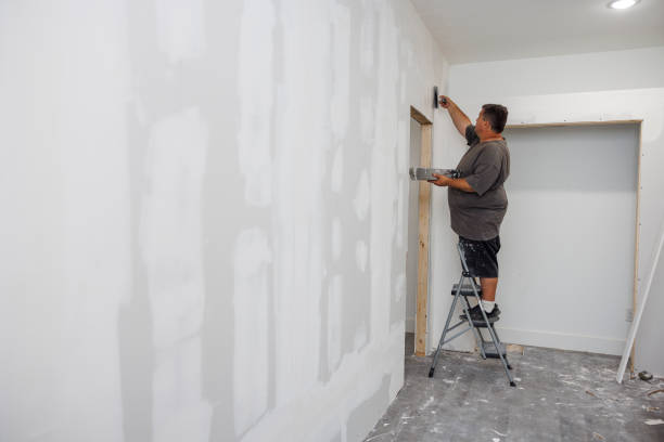 Professional Mold Removal in Pinedale, WY