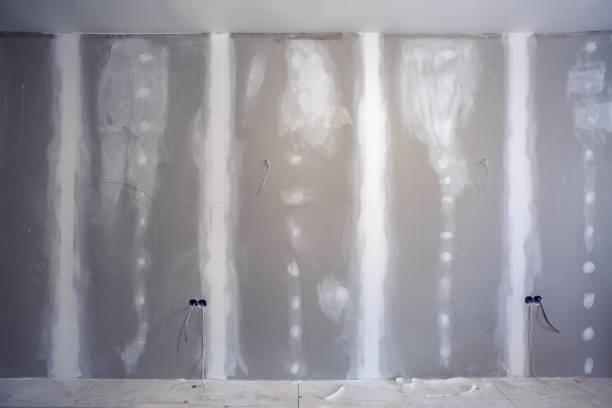 Best Mold Remediation for Healthcare Facilities  in Pinedale, WY